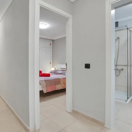 Halcon -